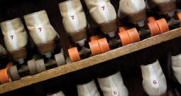 Things To Do Topsail Skating Rink