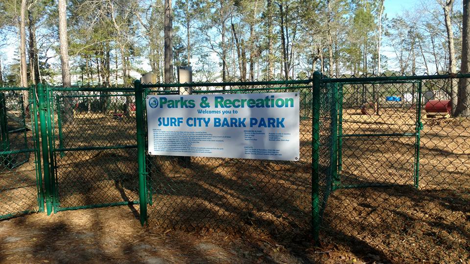 Things To Do Surf City Bark Park