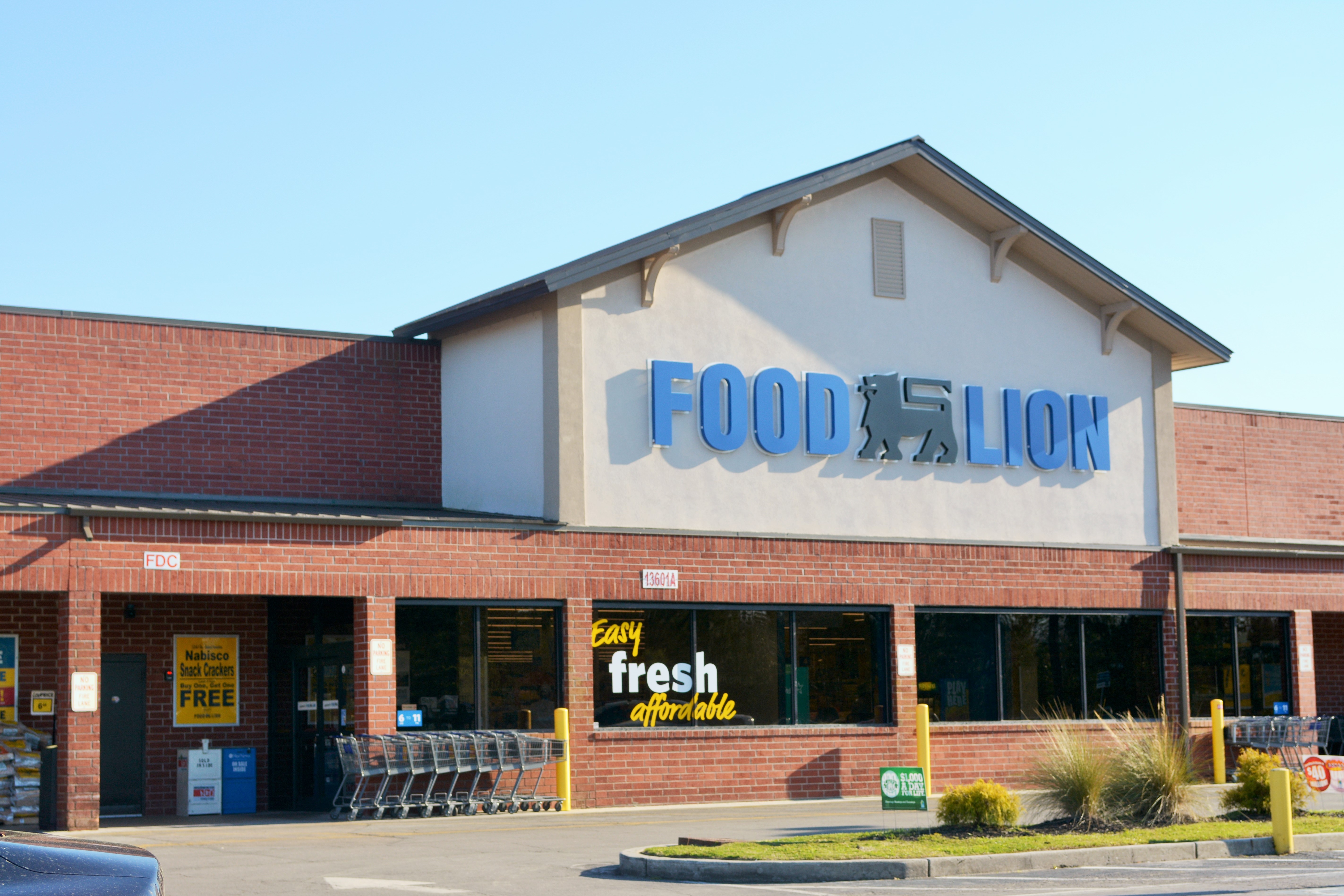 Things To Do Food Lion - Surf City